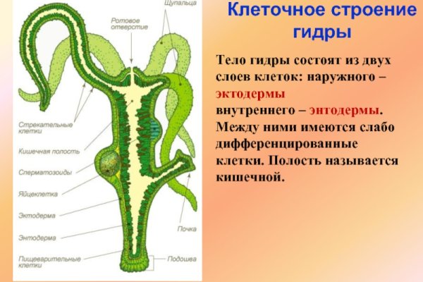 Кракен даркнет как зайти