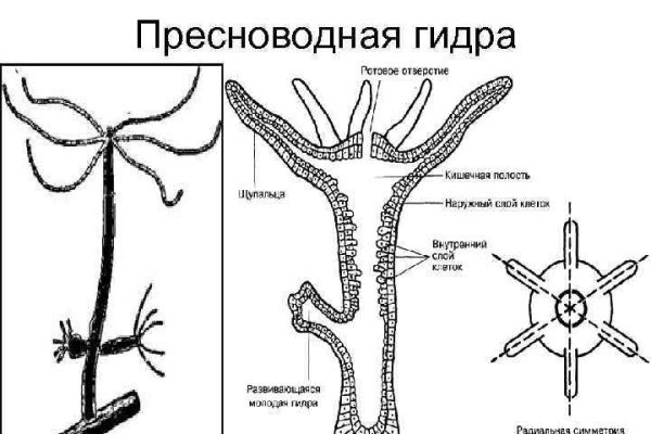 Кракен зеркало орион