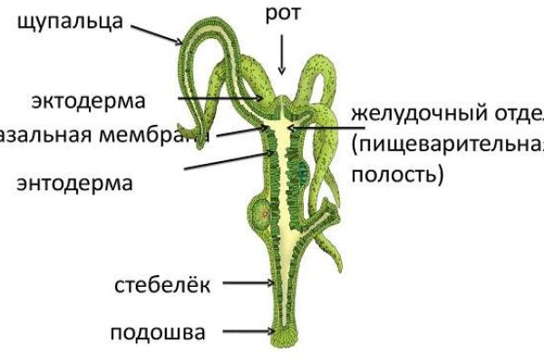 Ссылки на даркнет