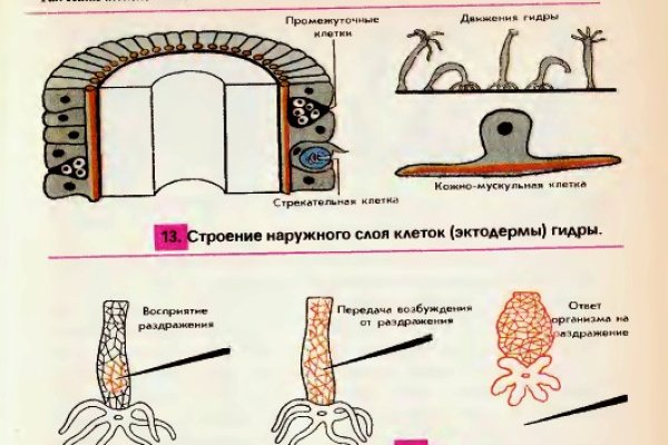 Кракен что это такое маркетплейс